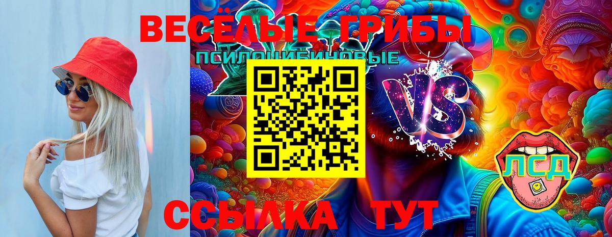 Галлюциногенные грибы Psilocybine cubensis  Вход с VPN  Псилоцибиновые грибы MAGIC MUSHROOMS  Полевской 