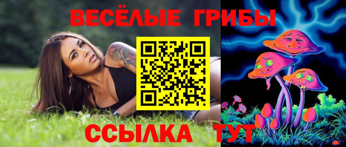 Псилоцибиновые грибы мицелий Полевской